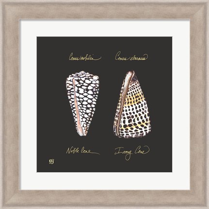 Framed Striking Shells IV Print