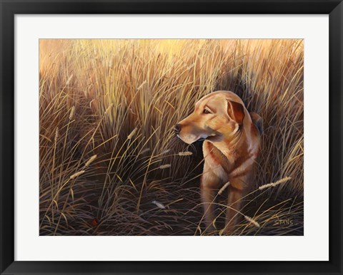 Framed Golden Grass Print