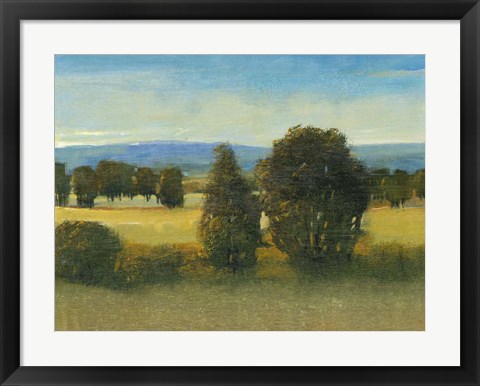 Framed Verdant Meadow I Print