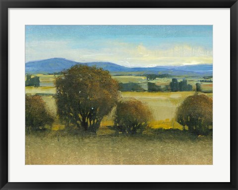 Framed Verdant Meadow II Print