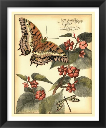 Framed Whimsical Butterflies II Print