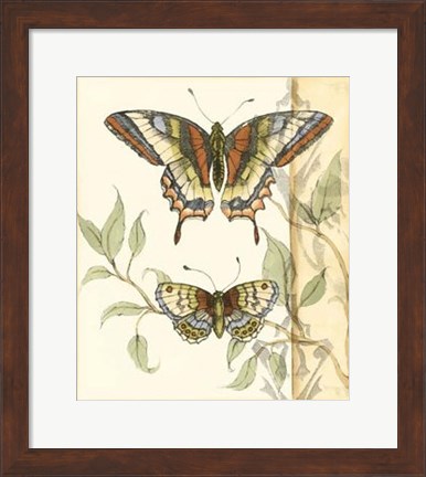 Framed Tandem Butterflies II Print