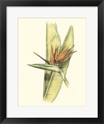 Framed Elegant Tropics II Print