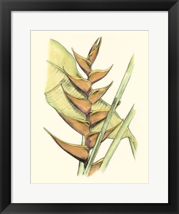 Framed Elegant Tropics III Print