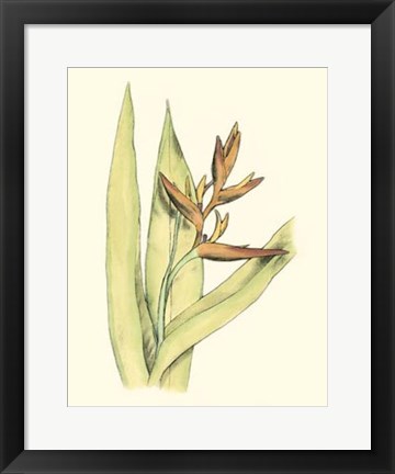 Framed Elegant Tropics V Print