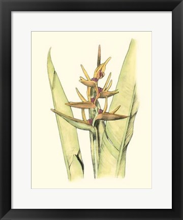 Framed Elegant Tropics VI Print