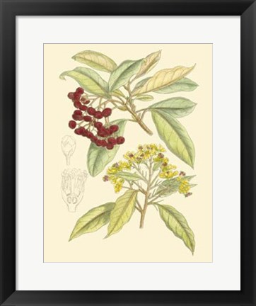 Framed Berries &amp; Blossoms I Print