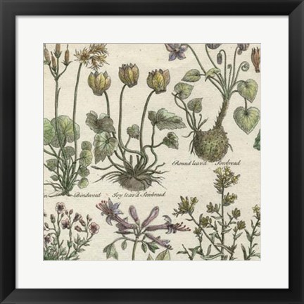 Framed Delicate Garden I Print