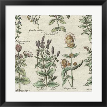 Framed Delicate Garden IV Print