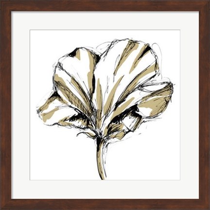 Framed Tulip Sketch IV Print