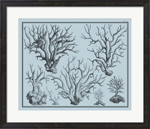 Framed Aegean Coral on Blue I Print