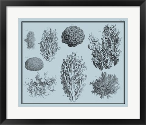 Framed Aegean Coral on Blue II Print