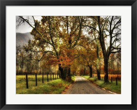 Framed Rainy Morning on Sparks Lane Print