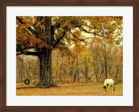 Framed Lone Horse Grazing Print