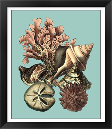 Framed Printed Shell &amp; Coral Collection II Print