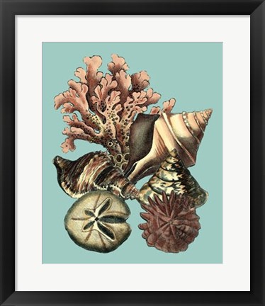 Framed Printed Shell &amp; Coral Collection II Print