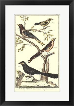 Framed Bird Family IV Print