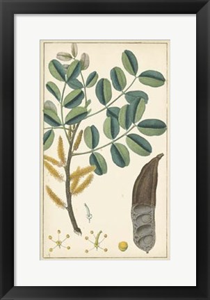 Framed Tropical Infusion II Print