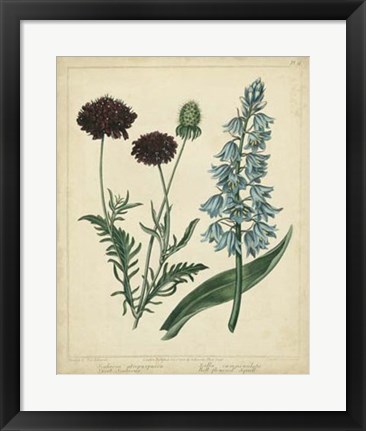 Framed Cottage Florals VI Print