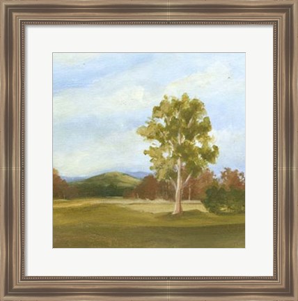 Framed Summer Horizons VI Print