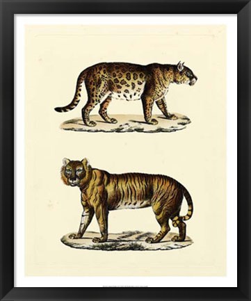 Framed Animal Studies II Print