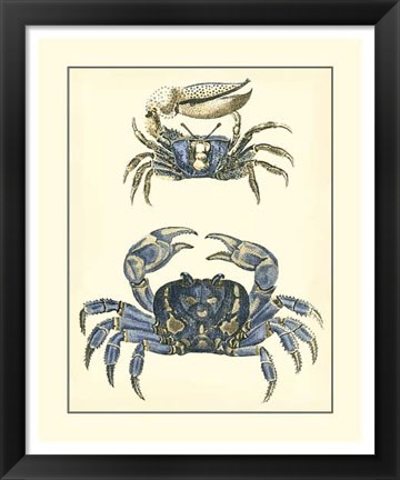 Framed Antique Blue Crabs II Print