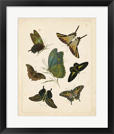 Framed Antique Entomology I Print