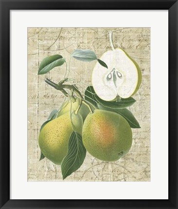 Framed Orchard Medley II Print