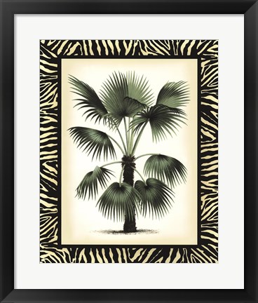 Framed Palm in Zebra Border II Print