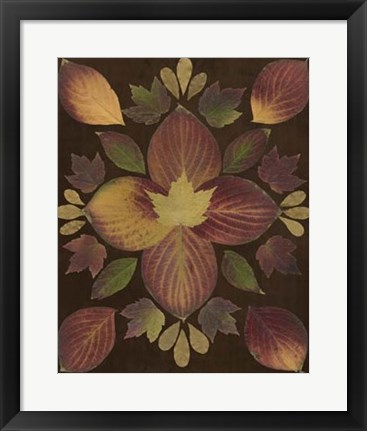 Framed Kaleidoscope Leaves V Print