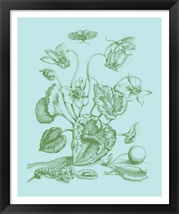 Framed Spring Cyclamen I Print