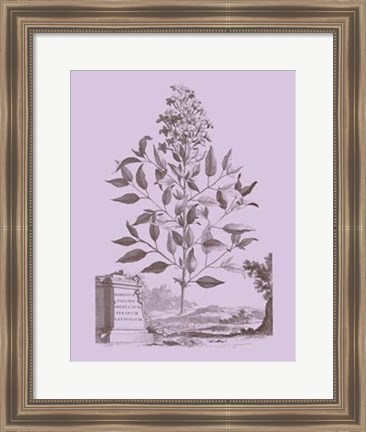 Framed Romantic Jasmine Print