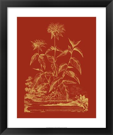 Framed Paprika Bouquet II Print