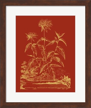 Framed Paprika Bouquet II Print