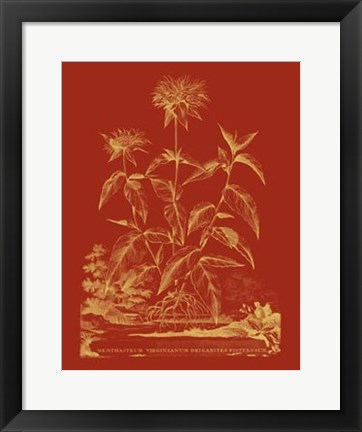 Framed Paprika Bouquet II Print