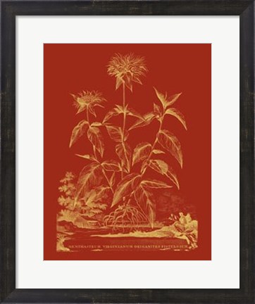 Framed Paprika Bouquet II Print