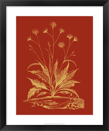 Framed Paprika Bouquet III Print