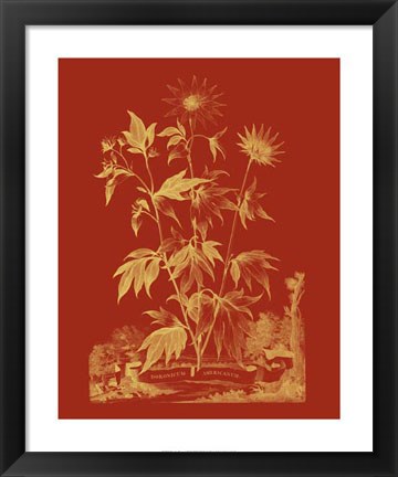 Framed Paprika Bouquet IV Print