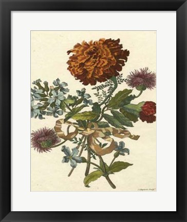 Framed Floral Posy III Print