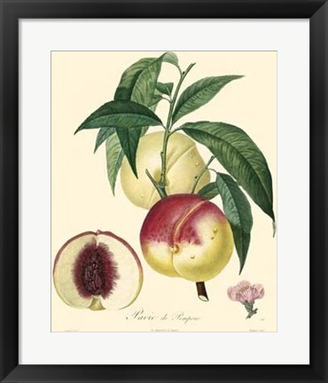 Framed Peaches Print