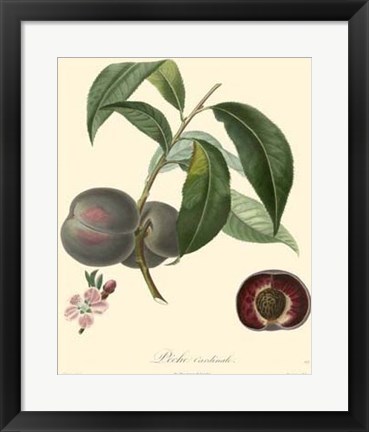 Framed Plums Print