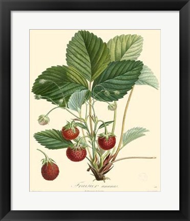 Framed Strawberries Print