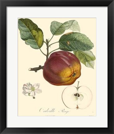 Framed Apples Print