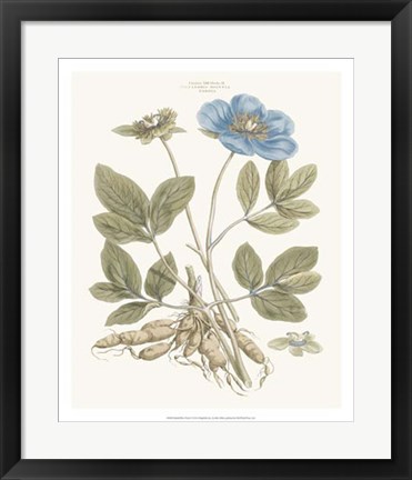 Framed Bashful Blue Florals I Print