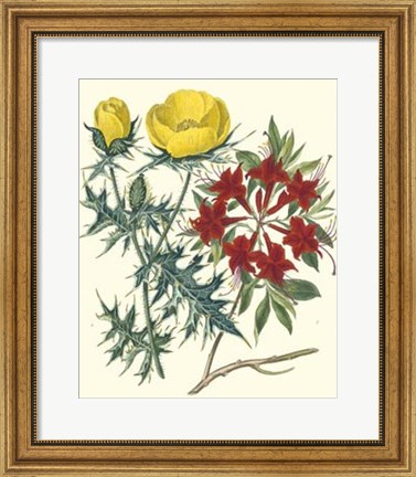 Framed Gardener&#39;s Delight VII Print