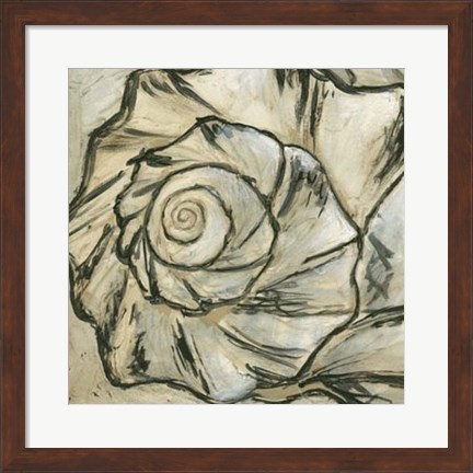 Framed Seashell Spiral I Print