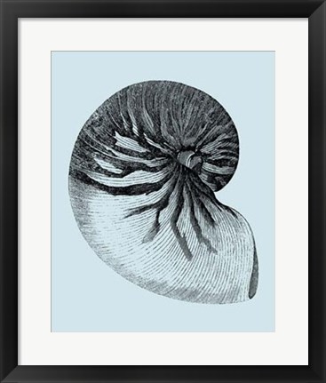 Framed Shells on Aqua II Print