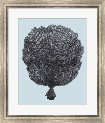 Framed Coral on Aqua II Print