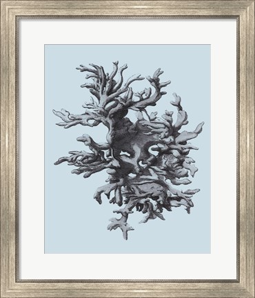 Framed Coral on Aqua III Print
