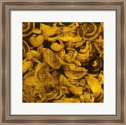 Framed Nautilus in Gold I Print